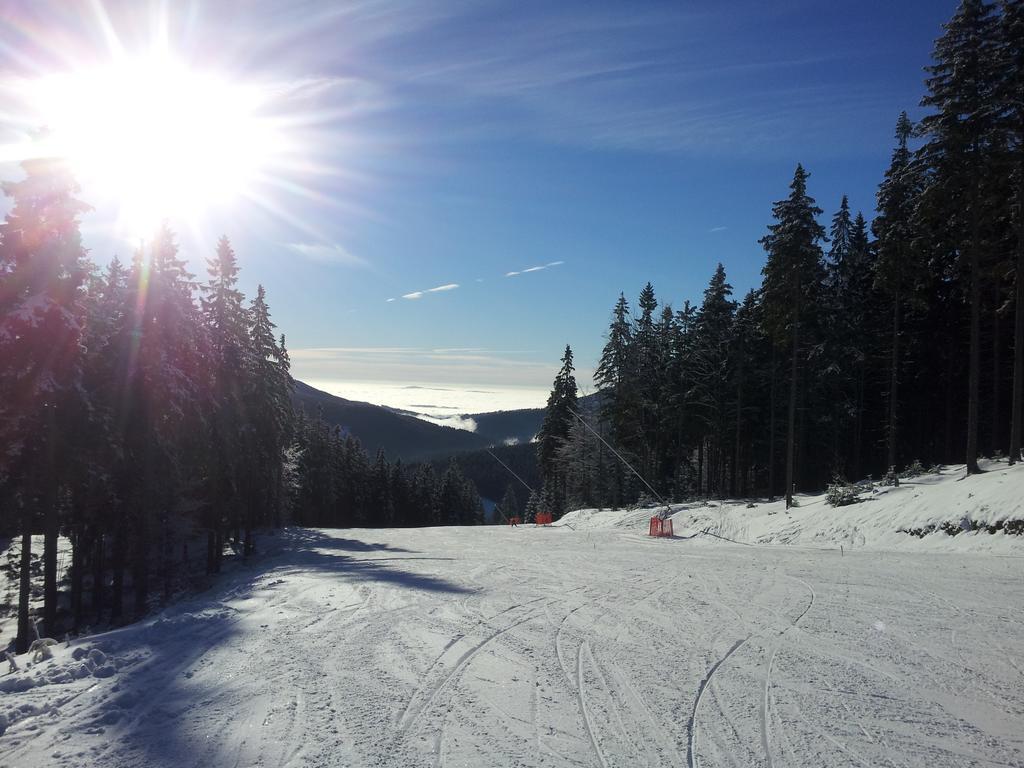 Penzion Alenka Spindleruv Mlyn Exterior photo