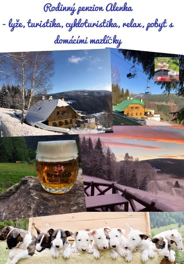 Penzion Alenka Spindleruv Mlyn Exterior photo