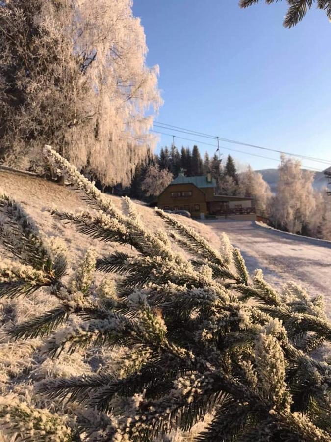 Penzion Alenka Spindleruv Mlyn Exterior photo