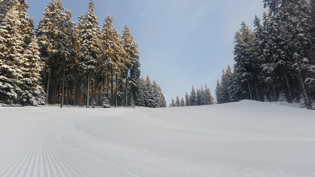 Penzion Alenka Spindleruv Mlyn Exterior photo