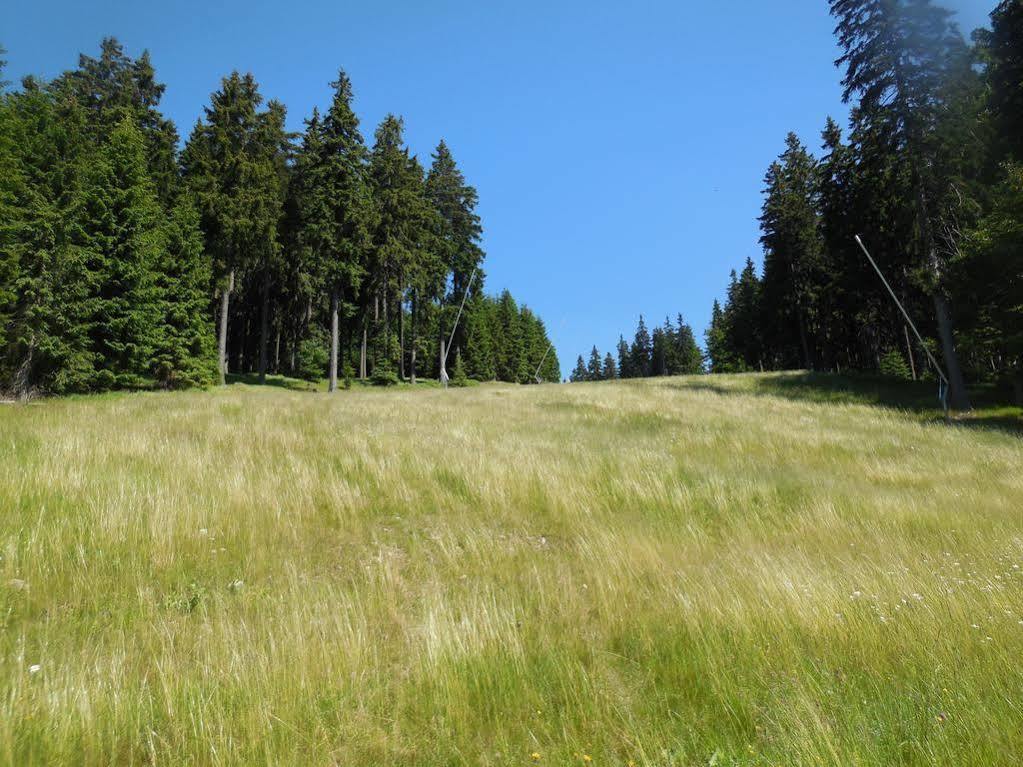 Penzion Alenka Spindleruv Mlyn Exterior photo